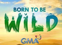 Born To Be Wild June 8 2025